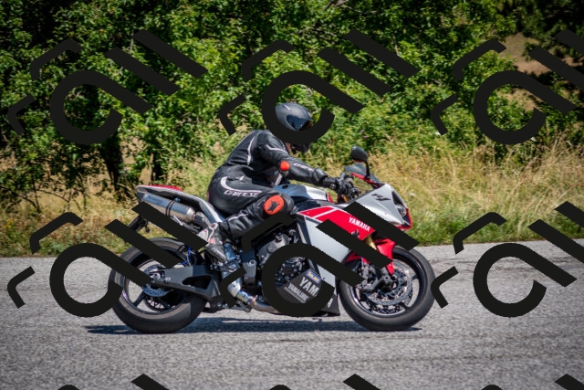 202507191200-DSC_8775_c2