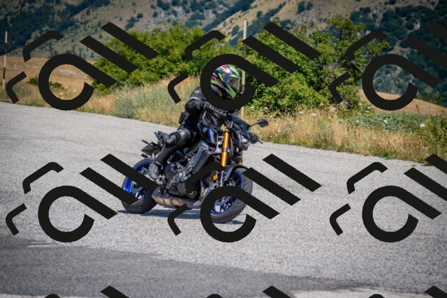 202507191201-DSC_8792_c2