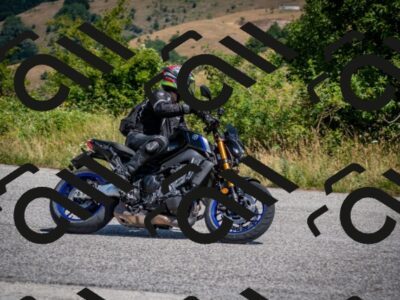 202507191201-DSC_8793_c2