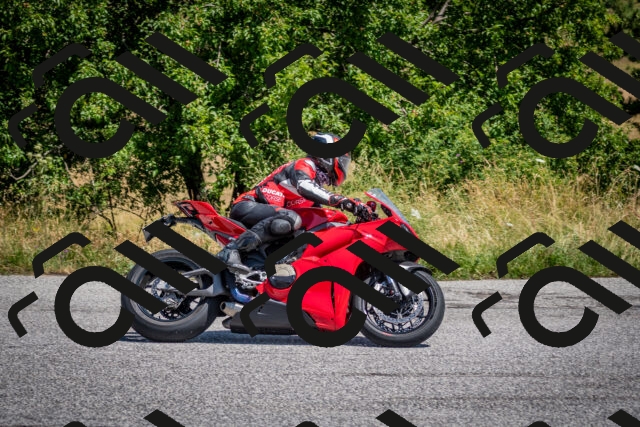 202507191202-DSC_8803_c2