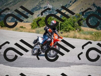 202507191203-DSC_8814_c2