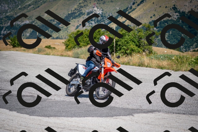 202507191203-DSC_8814_c2