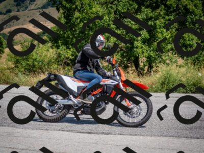 202507191203-DSC_8815_c2