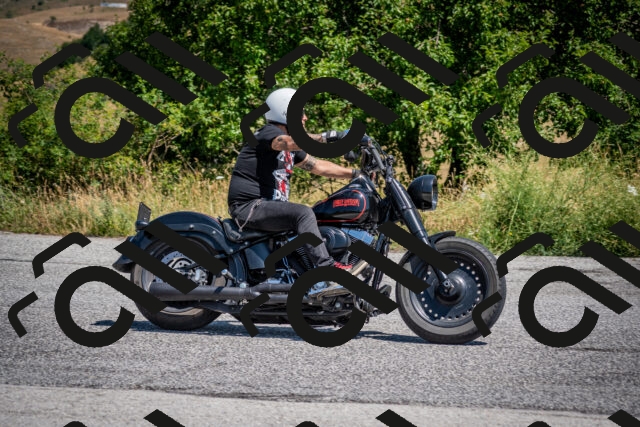 202507191203-DSC_8824_c2