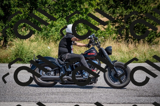 202507191203-DSC_8825_c2