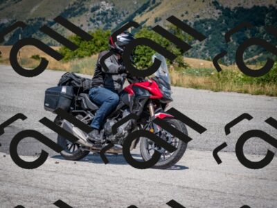 202507191256-DSC_9210_c2