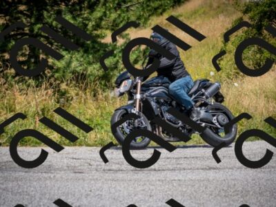 202507191300-DSC_9248_c2