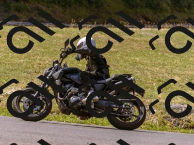 202507191104-_DSC5065_d1_