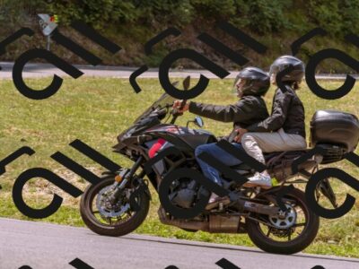 202507191202-_DSC5311_d1_