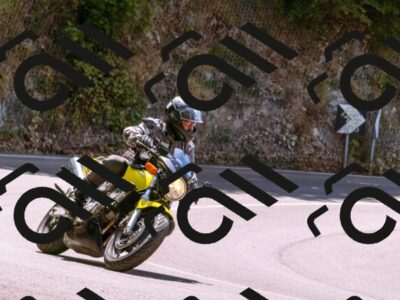 202507191202-_DSC5313_d1_