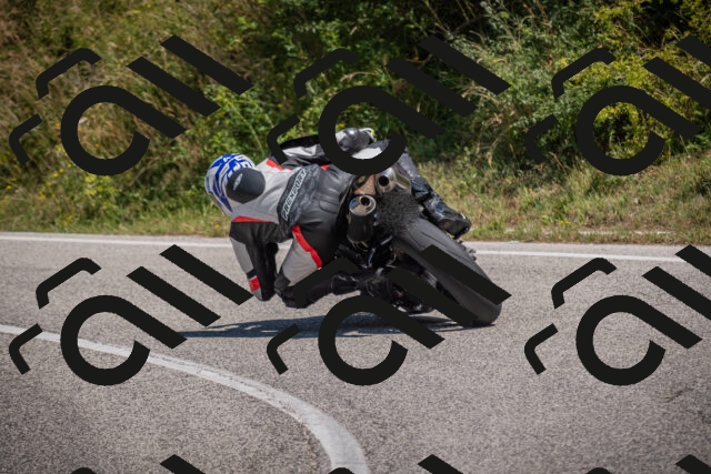 20250719115310-_5005782_am_