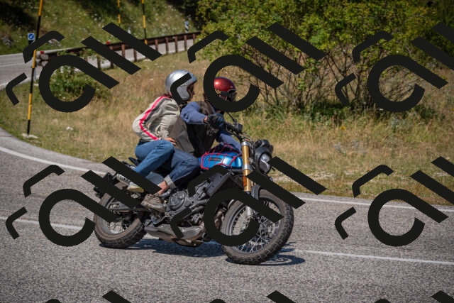 20250719120431-_5005981_am_