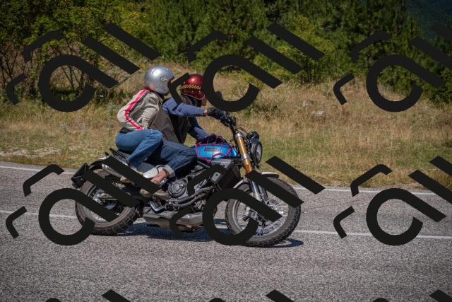 20250719120431-_5005982_am_