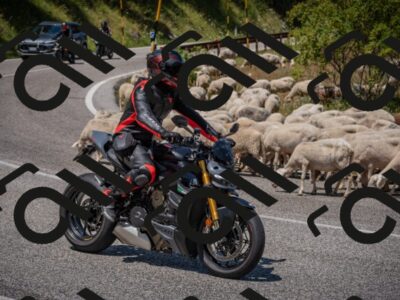 20250719124619-_5006463_am_