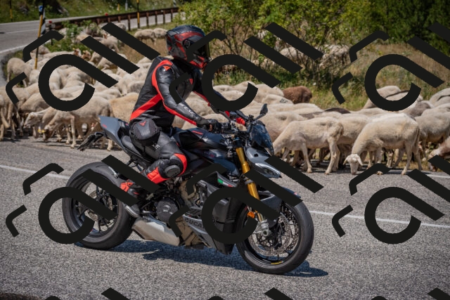 20250719124619-_5006464_am_