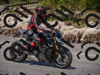 20250719124619-_5006464_am_