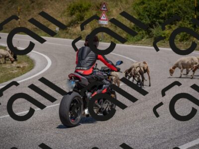 20250719124623-_5006465_am_