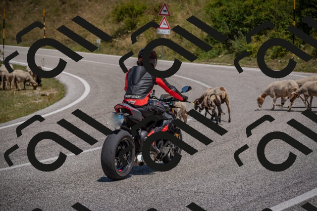 20250719124623-_5006465_am_