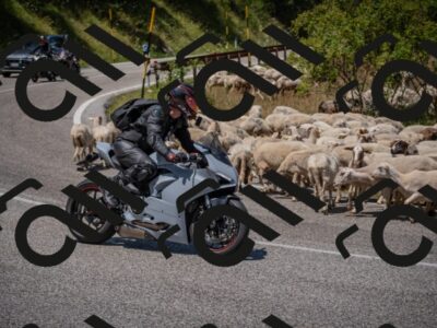 20250719124624-_5006466_am_