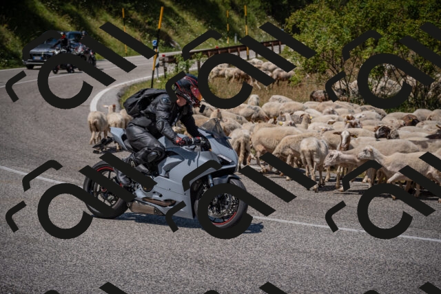 20250719124624-_5006466_am_