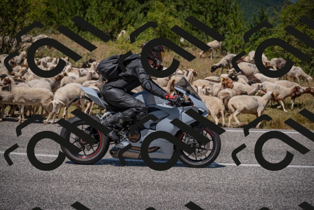 20250719124624-_5006467_am_