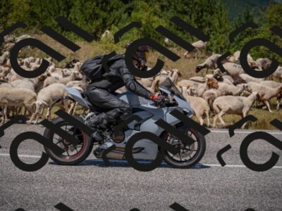 20250719124624-_5006467_am_