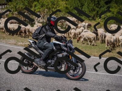 20250719124632-_5006468_am_