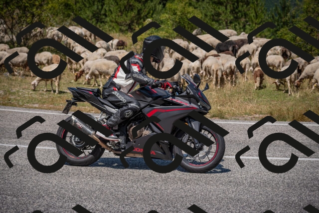 20250719124633-_5006469_am_