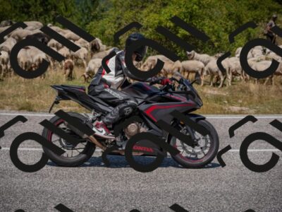 20250719124634-_5006470_am_