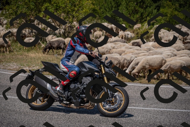 20250719124645-_5006471_am_