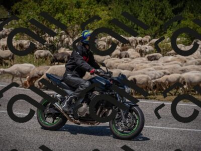 20250719124649-_5006473_am_