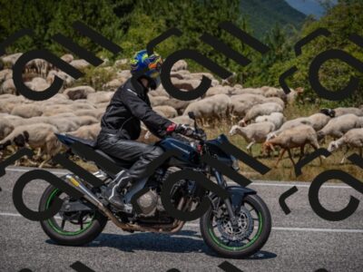 20250719124649-_5006474_am_