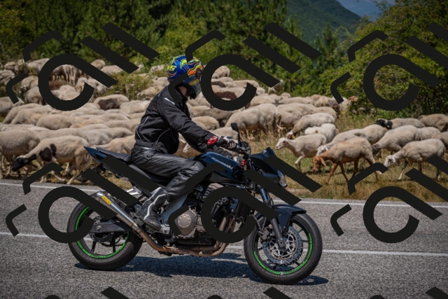 20250719124649-_5006474_am_