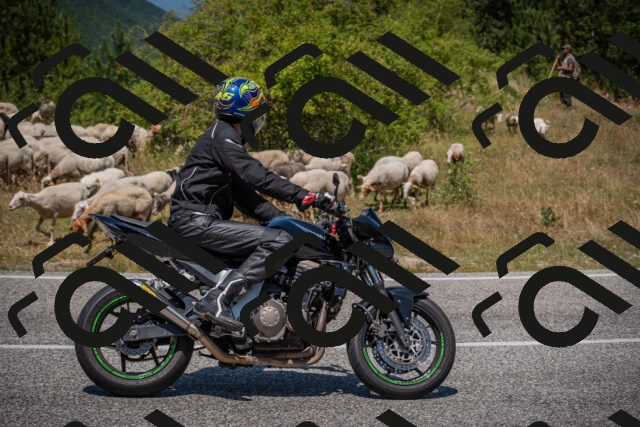 20250719124649-_5006475_am_