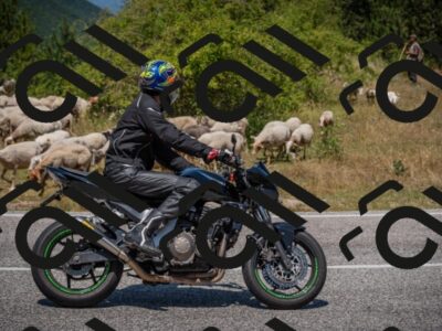 20250719124649-_5006475_am_