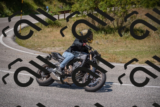 20250719125529-_5006516_am_