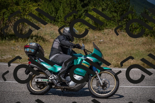 20250719131146-_5006716_am_