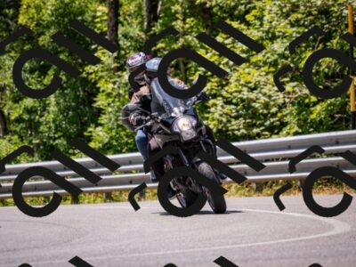 202507191244-_DSC4410_d2_