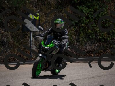 202507191257-_DSC4451_d2_