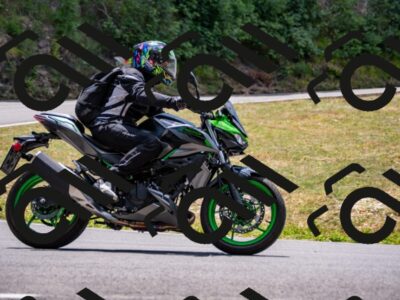 202507191257-_DSC4454_d2_