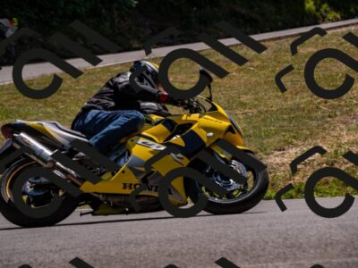 202507191344-_DSC4648_d2_