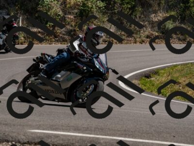 202507191432-_DSC4838_d2_