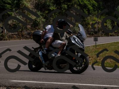 202507191453-_DSC4869_d2_