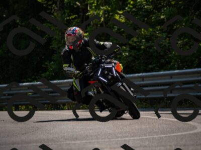 202507191528-_DSC4954_d2_