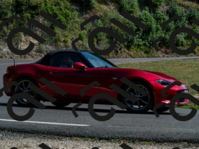 202507191606-_DSC5155_d2_