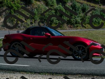 202507191606-_DSC5156_d2_