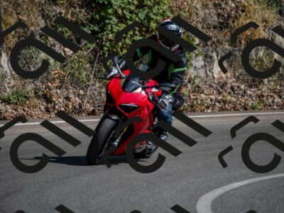 202507191607-_DSC5158_d2_