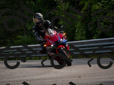 202507191619-_DSC5230_d2_