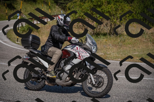 20250720103133-_5007079_am_