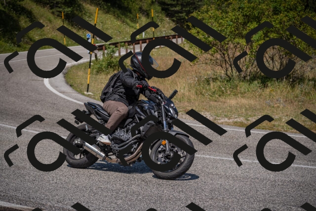 20250720113329-_5008213_am_